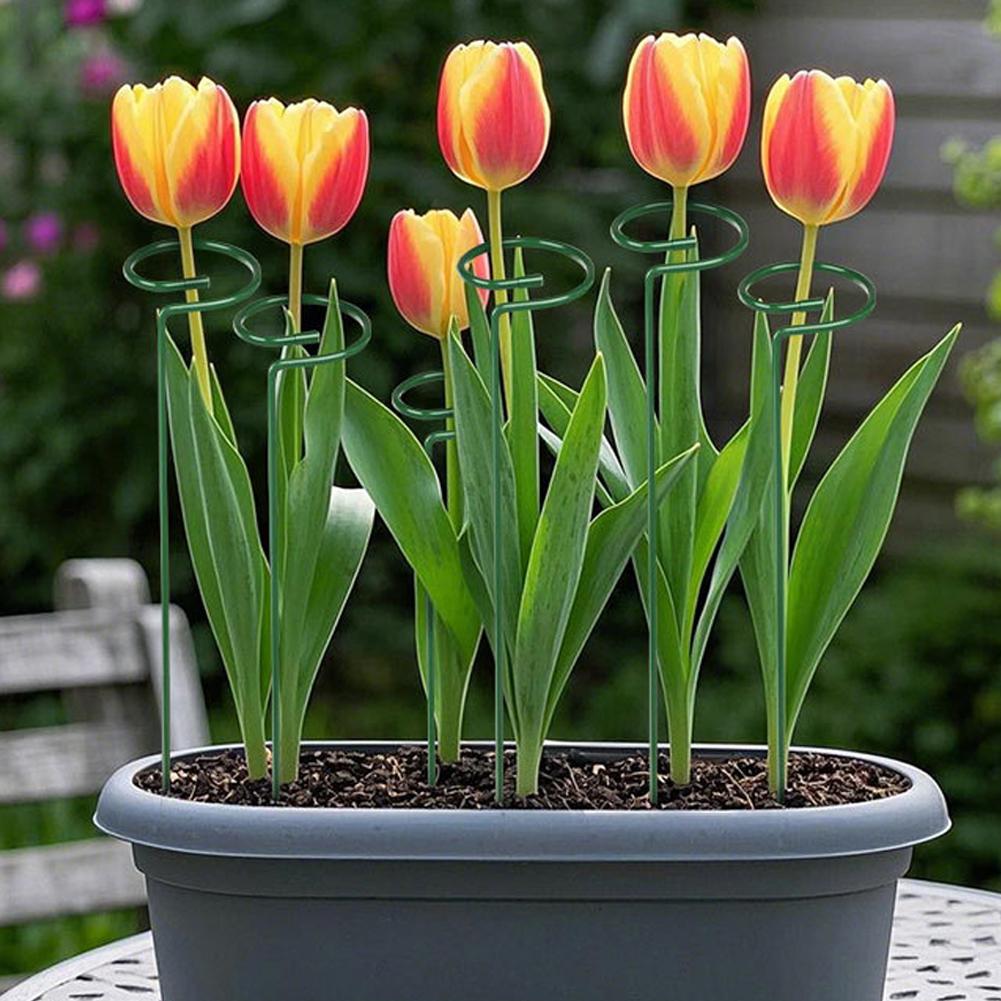 Metalen plantensteunen Tuinblo - Gardening Tools Range recensie en prijs