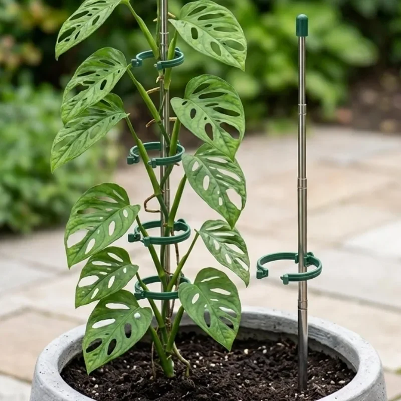 5/1PCS Intrekbare Plant Onders - Gardening Tools Range recensie en prijs