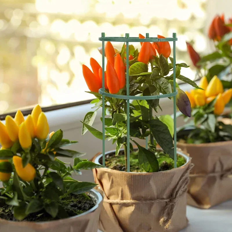 Plastic Plant Ondersteuning St - Gardening Tools Range recensie en prijs