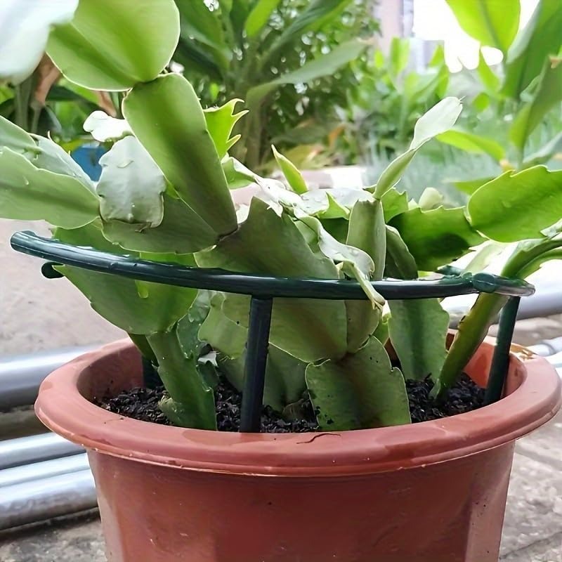 30-1PCS Plastic Plant Onderste - Gardening Tools Range recensie en prijs