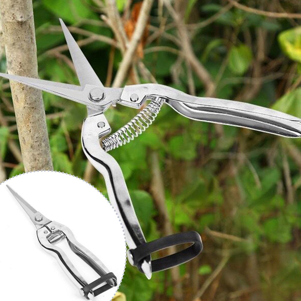 Snoeischaar Tuinschaar Voor ro - Gardening Hand Tools Yard recensie en prijs